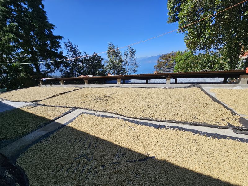 café 3
